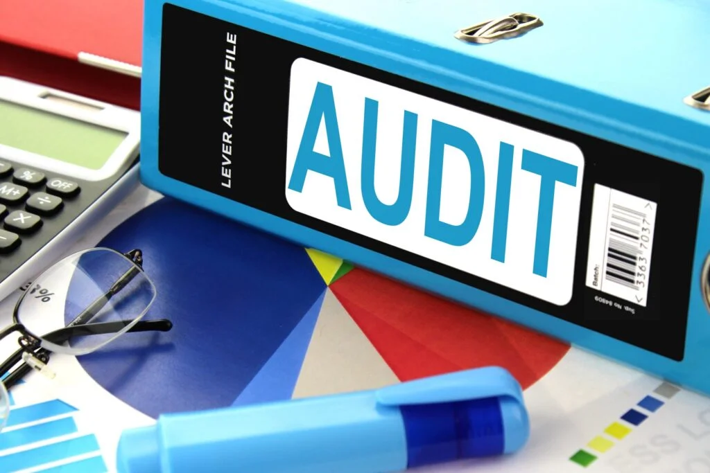 Tax Audits